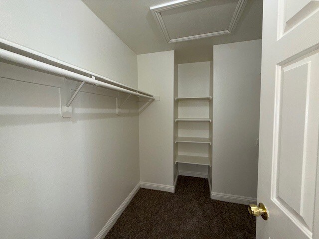 Building Photo - 1125 Red Margin Ct