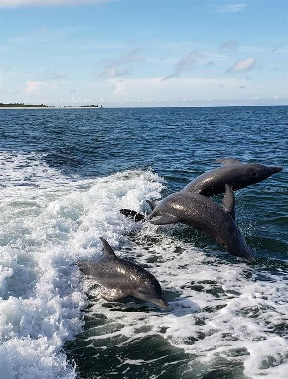 Building Photo - 212 Bunkerhill Ln