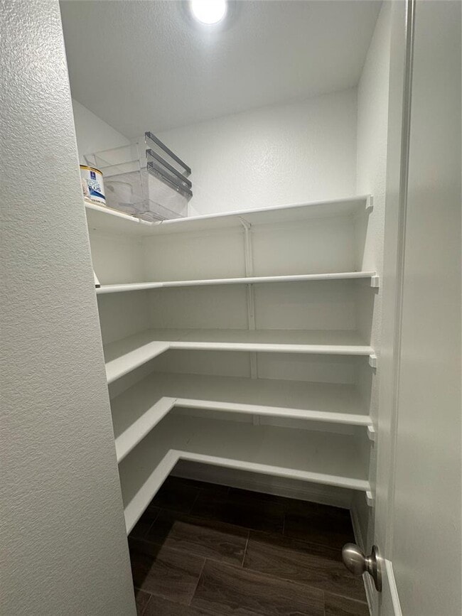 Building Photo - 113 Caterpillar Ln