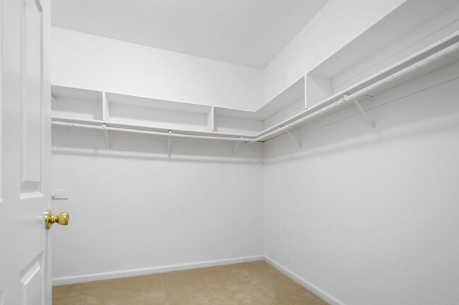 Building Photo - 991 Zephyr Ct