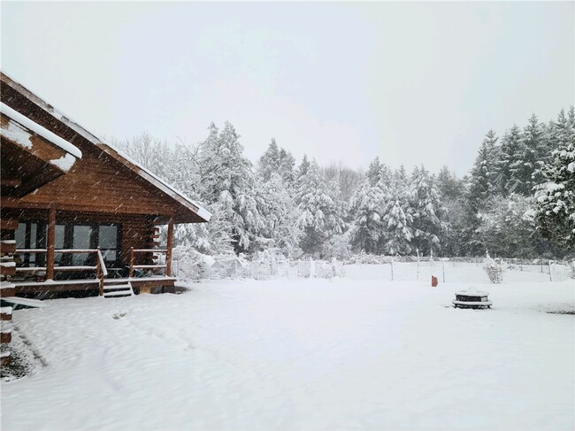 Building Photo - 10329 Briar Hill Rd