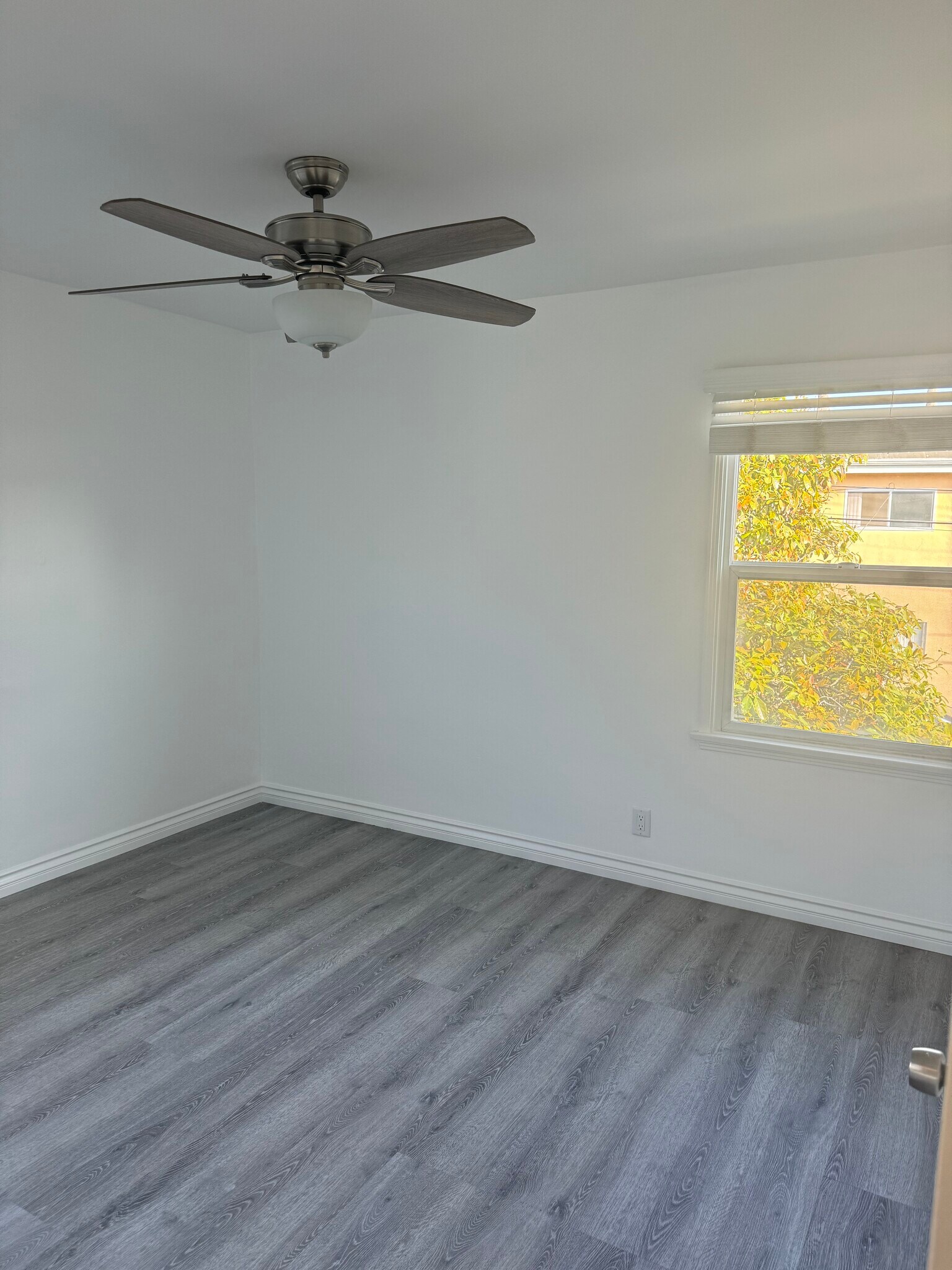 Building Photo - 436 Venice Way