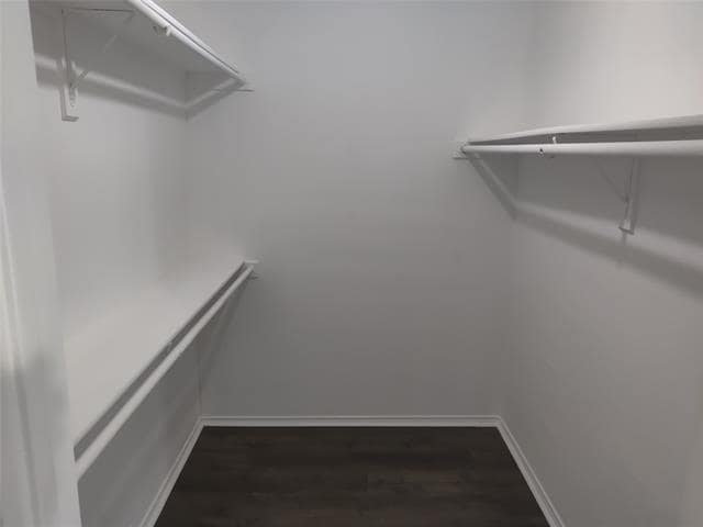 Building Photo - 1213 Urban Dr