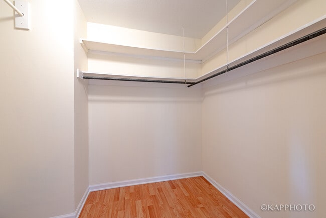 Building Photo - 900 N Lake Shore Dr