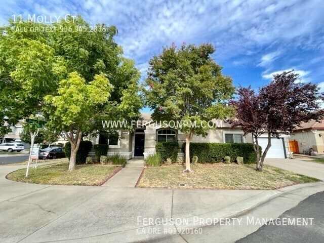 Primary Photo - 11 Molly Ct