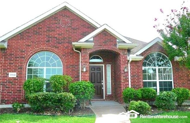 Building Photo - Beautiful 4 bedroom Home In Frisco!!!
