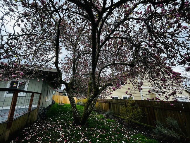 Building Photo - 4 Bedroom East Bremerton with Large Yard