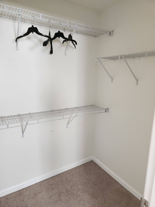 Building Photo - 2041 Leeds Ln