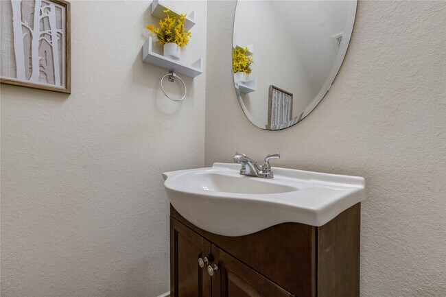 Building Photo - 3707 Cibolo Ct