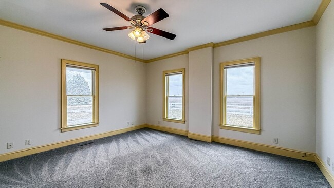 Building Photo - Peaceful Country Living in DeLand, IL – 3 Bed, 2 Bath Farmhouse