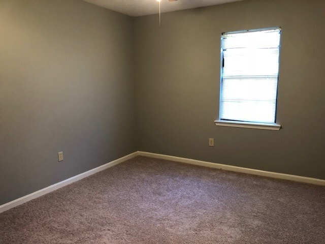 Building Photo - 3 Bed/2 Bath for Rent in Madison!