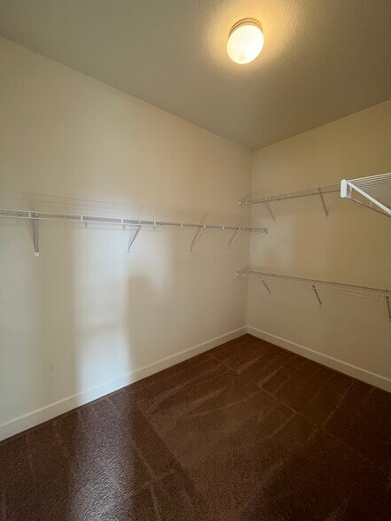 Building Photo - 3355 Barolo Ct