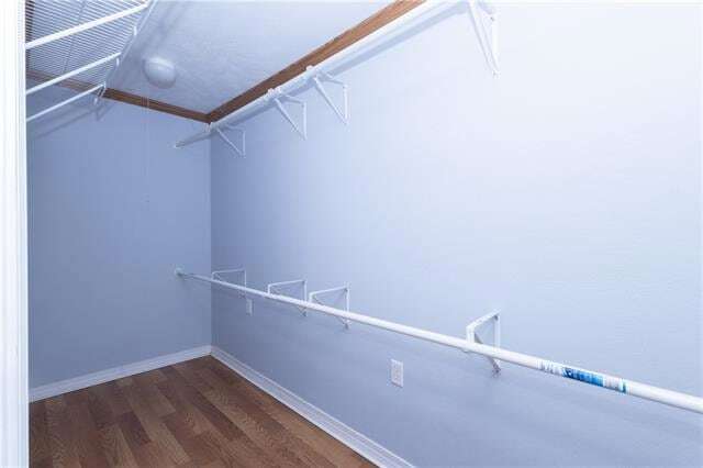 Building Photo - 3253 Reine Ave