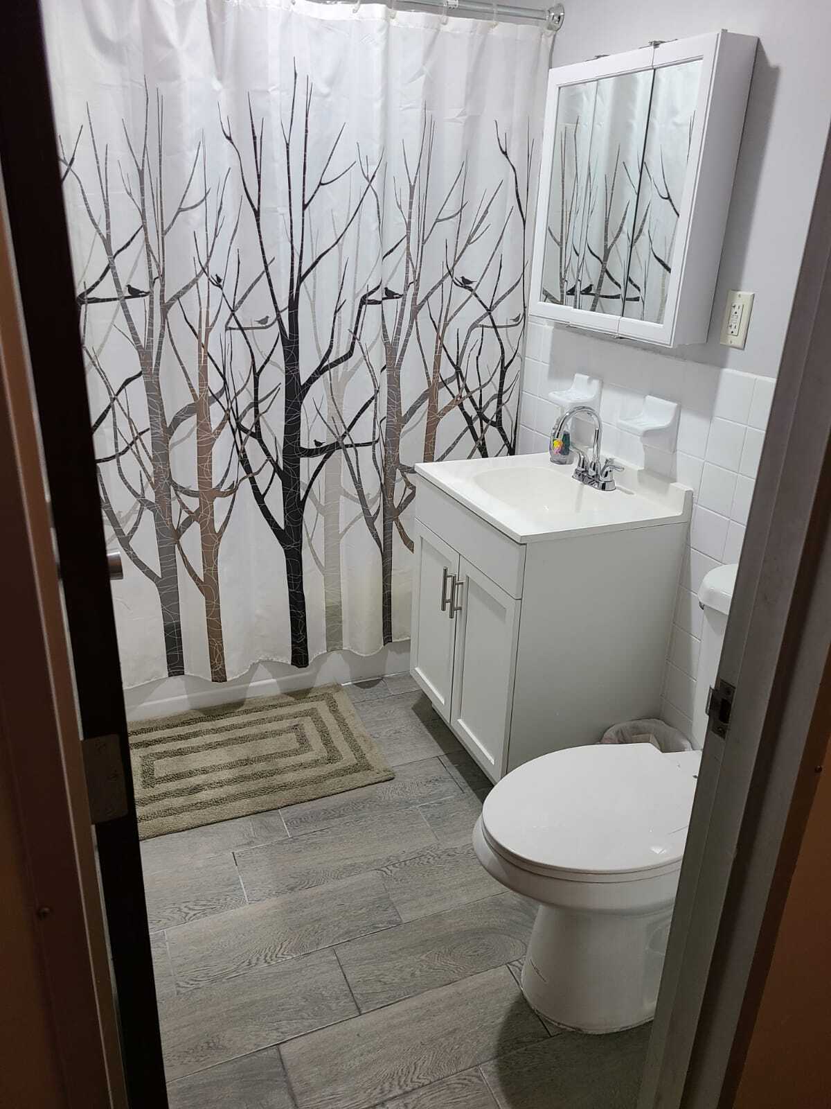 bathroom - 219 Rock St