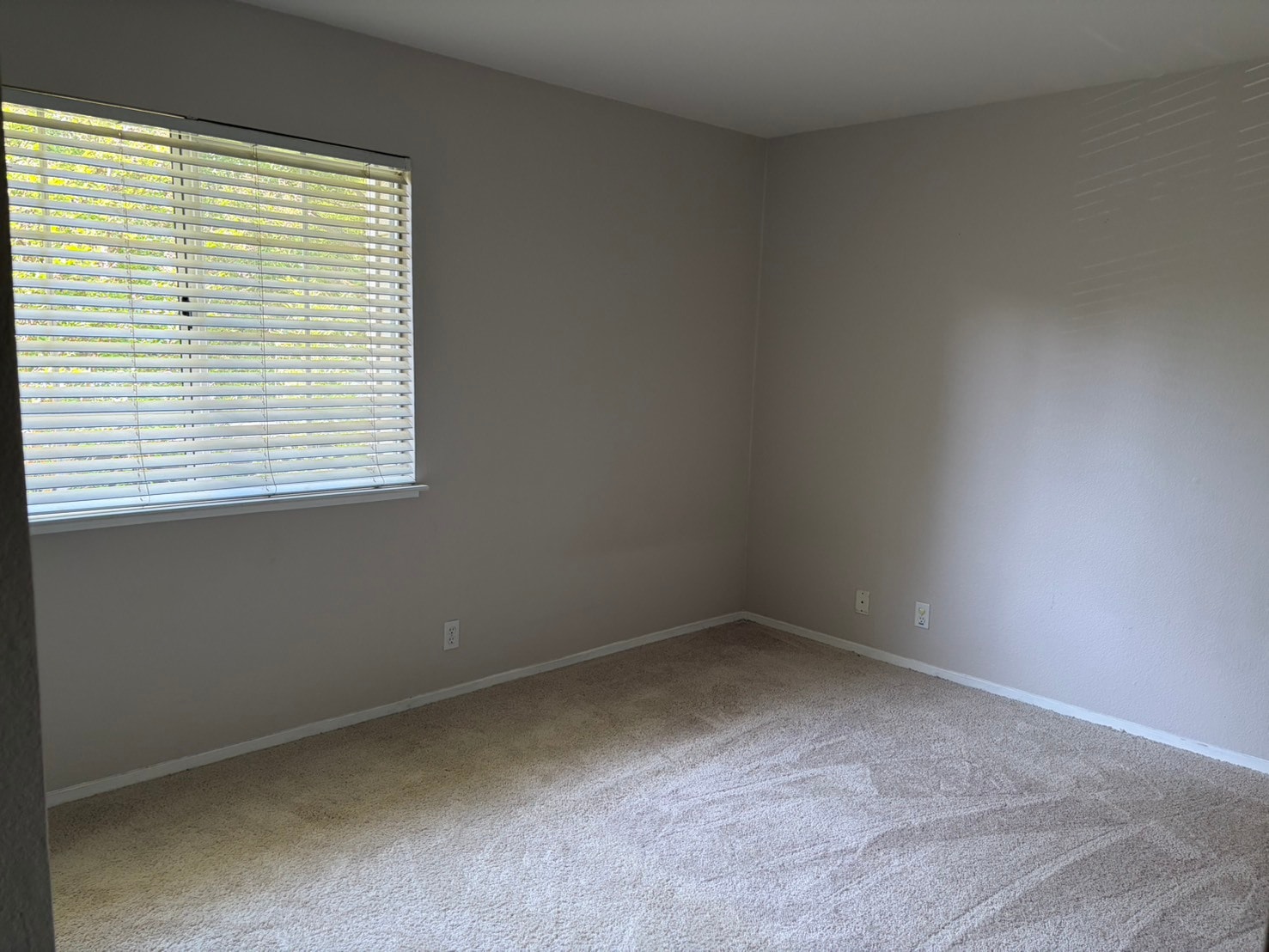 Building Photo - 2677 Somerset Park Cir