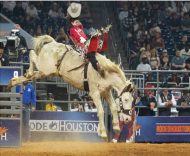 Building Photo - 3314 N MacGregor Way