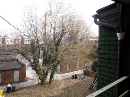 Building Photo - 3121 Guilford Ave