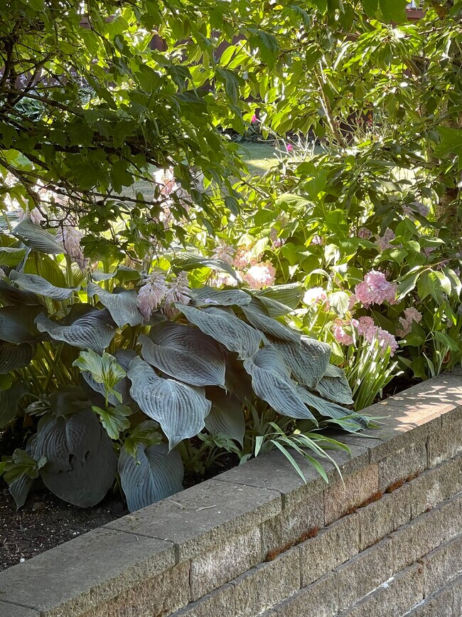 Building Photo - 15407 36th Dr SE