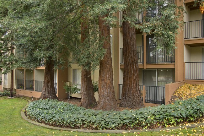 Trinity Apartments Walnut Creek Trinity Apartments Walnut Creek