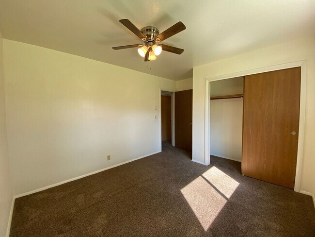 Building Photo - Nice Apartment