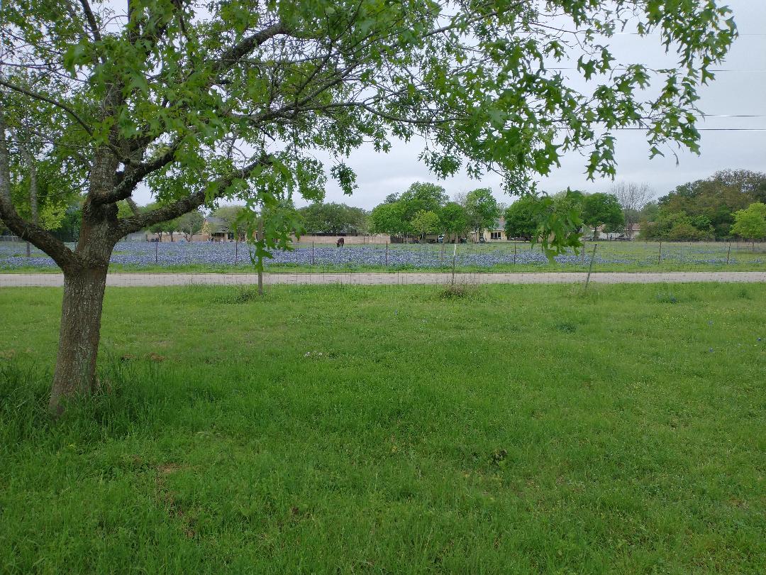 Building Photo - 16219 Oxbow Trl