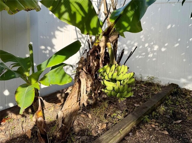 Building Photo - 2069 Nerva Rd