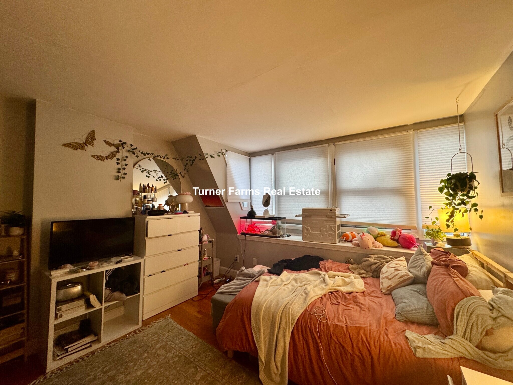 Building Photo - 469 Massachusetts Ave