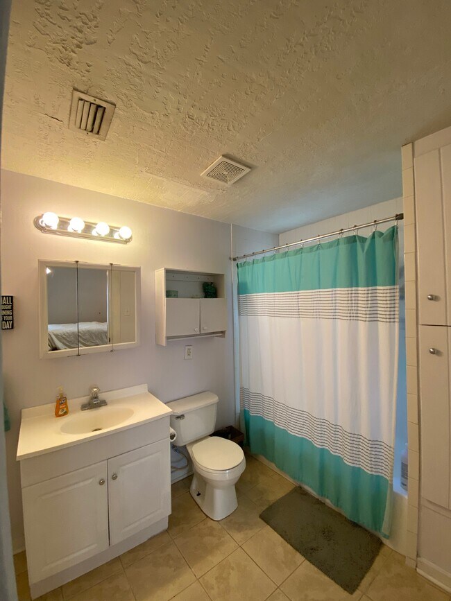 Back Apartment bathroom - 510 S 6th St