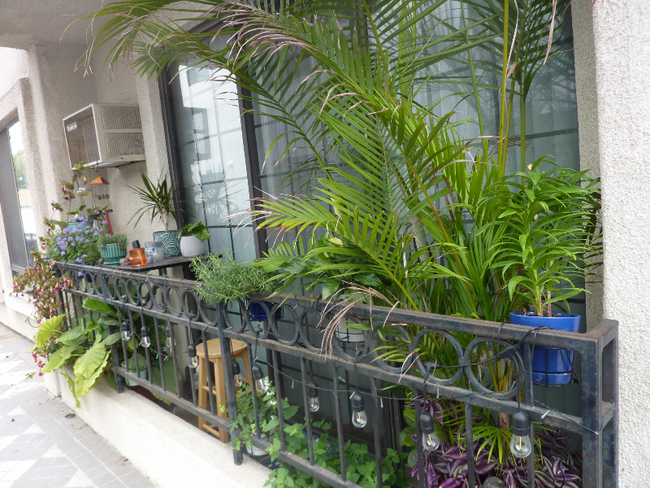 Building Photo - 3648 Motor Ave