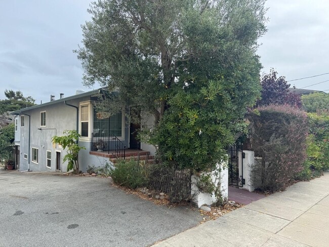 Primary Photo - 429 Larkin St