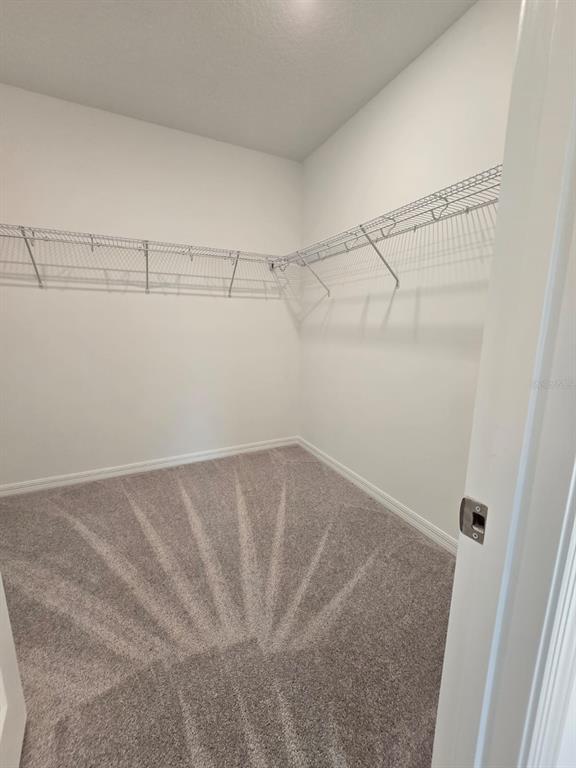 Building Photo - 1373 Addison Blf Ln