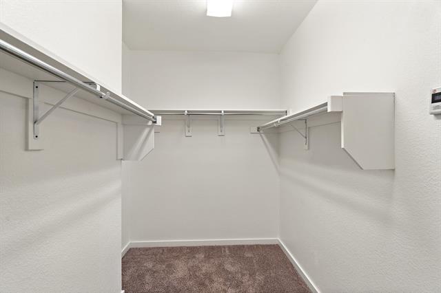 Building Photo - 1401 Macaw Ct