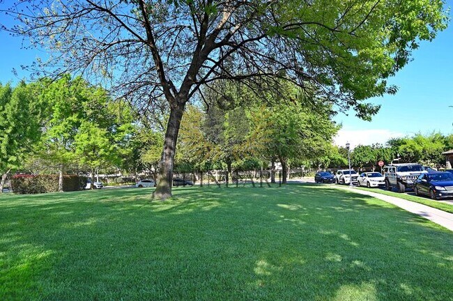 Building Photo - 1439 E Via Albero Dr