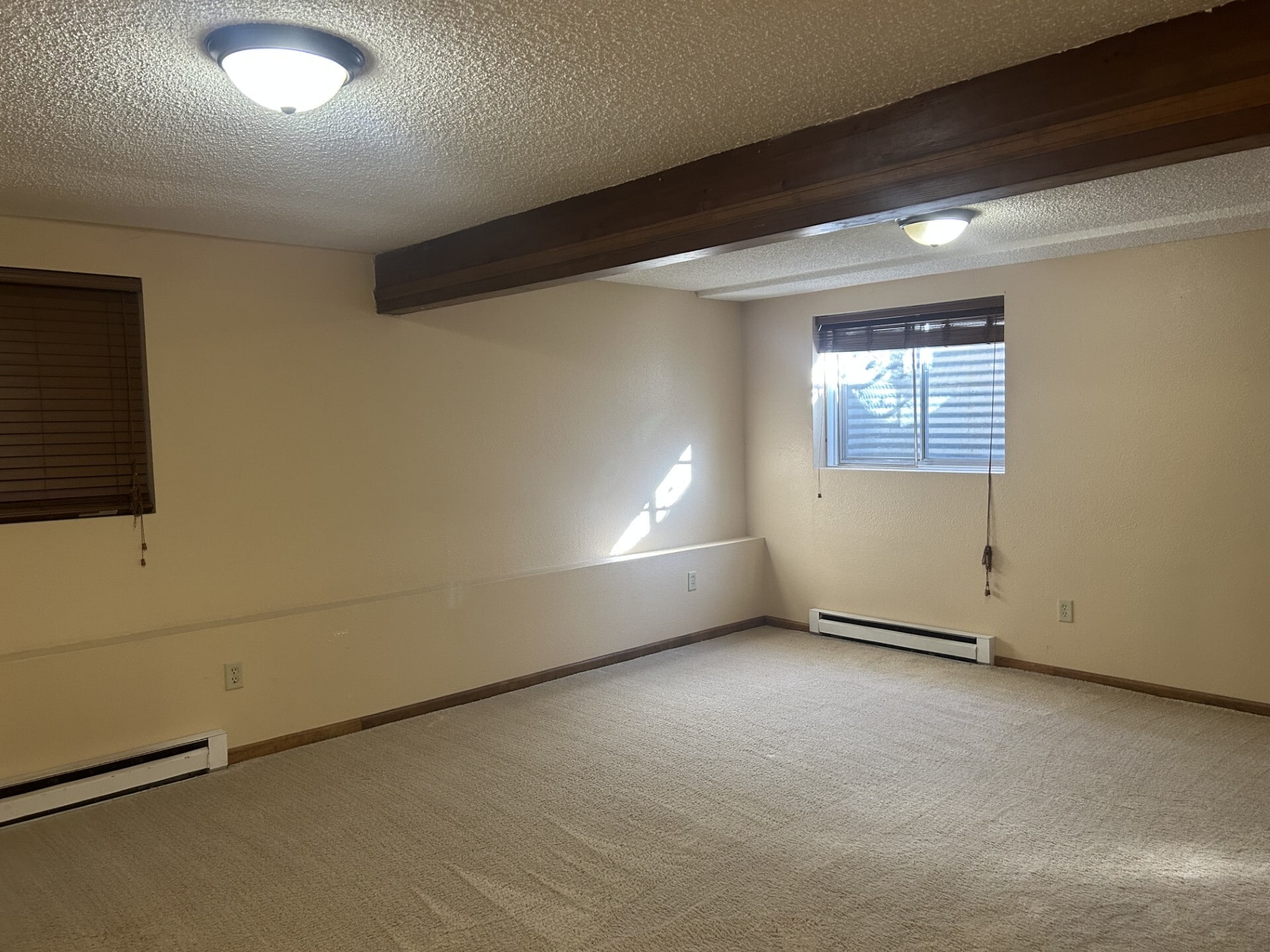 Basement Family Room - 1704 Copperville Rd