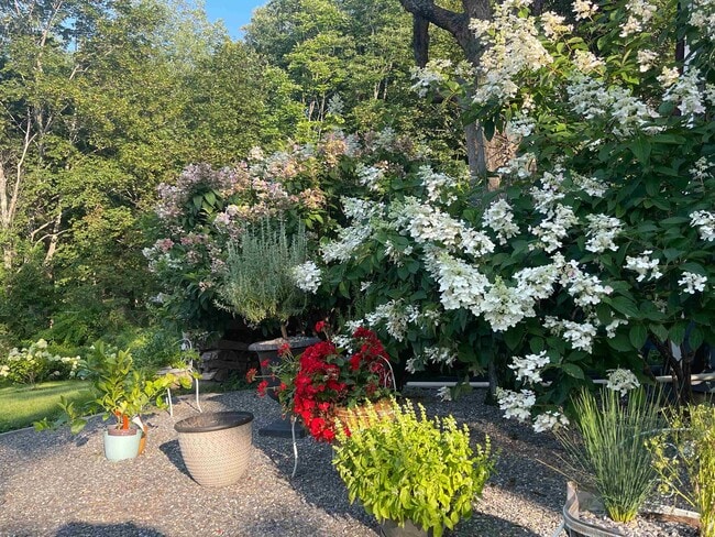 Building Photo - 35 Mill Pond Rd