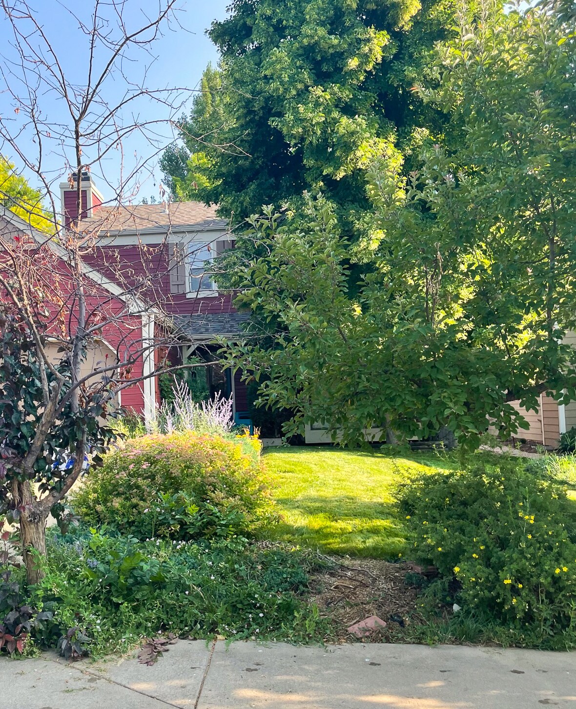 Front Yard - 421 W Sycamore Ct