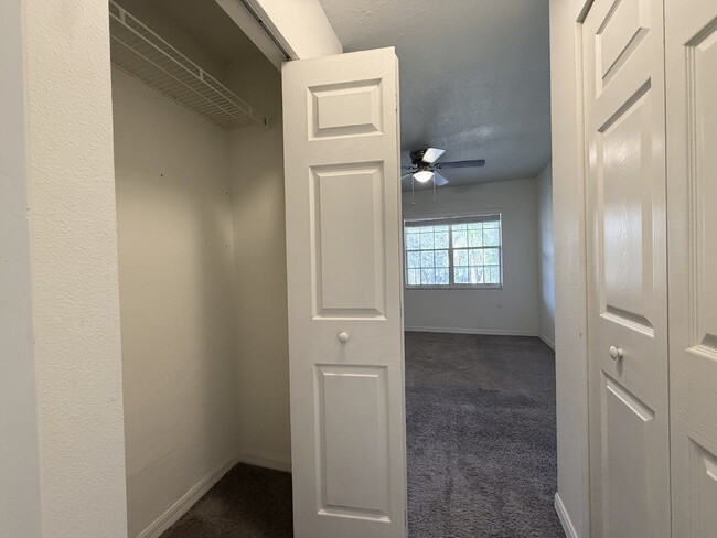 Building Photo - Spacious 2-Bed, 2-Bath Condo in Palm Harbor!