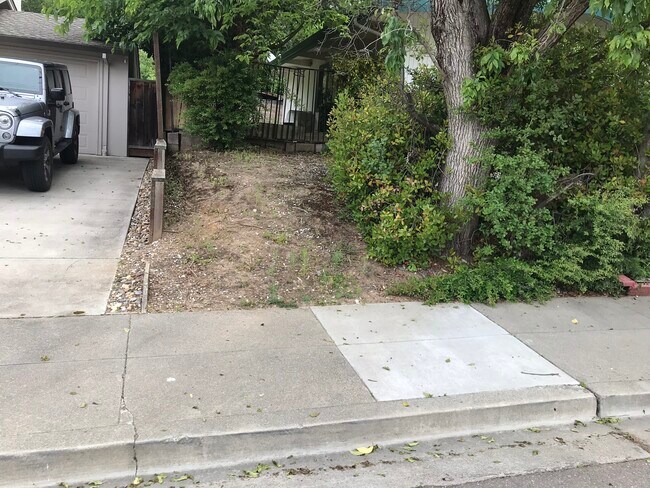 Front yard - 542 Bonita Ave