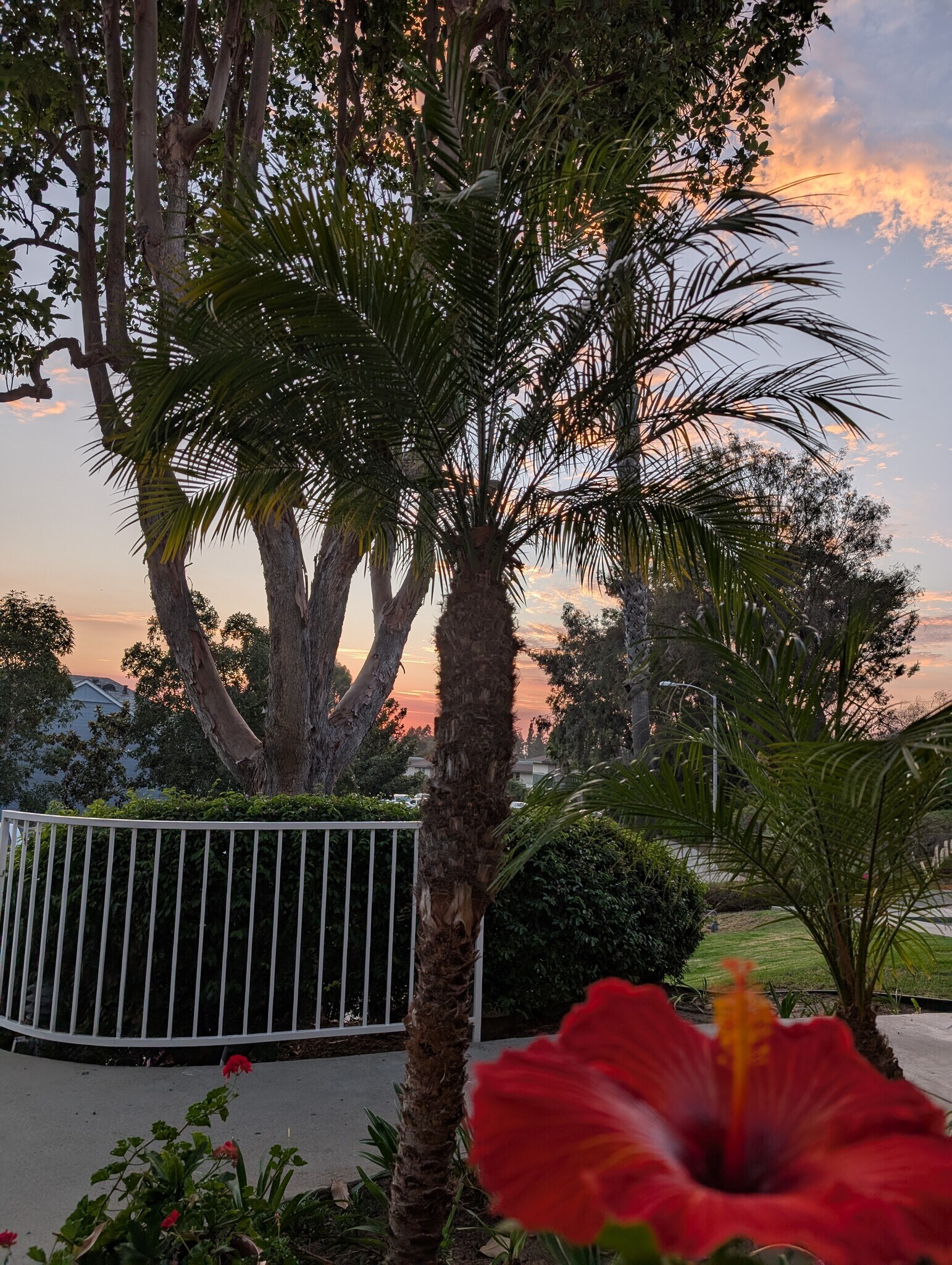 Patio evening view - 10006 Maya Linda Rd