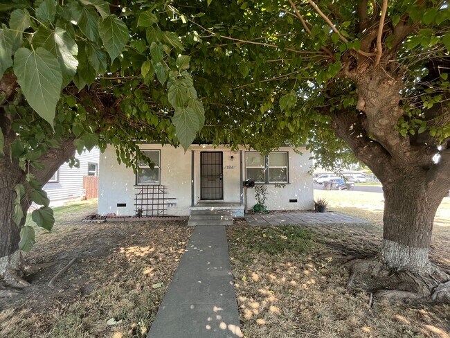 Primary Photo - 1504