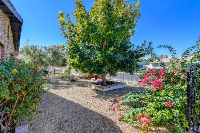 Building Photo - Paradise Palms – No neighbors behind you –...