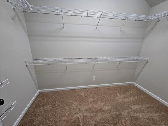 Building Photo - 8812 Andress Ct