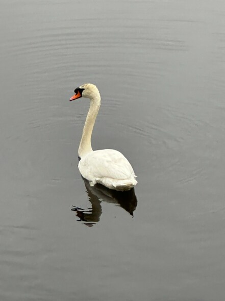 Building Photo - 98 Linwood St