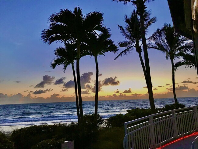 Building Photo - 88 Crooked Tree Ln