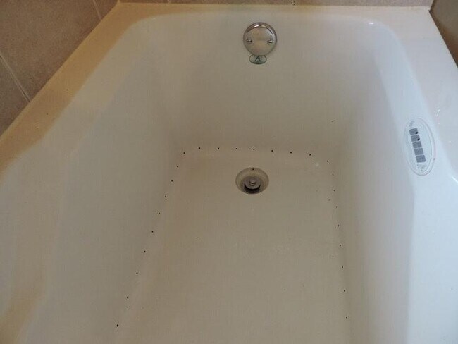 Bathroom jetted tub - 2605 182nd Pl