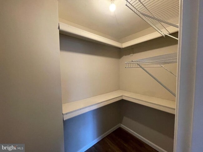 Building Photo - 9817 Rainleaf Ct