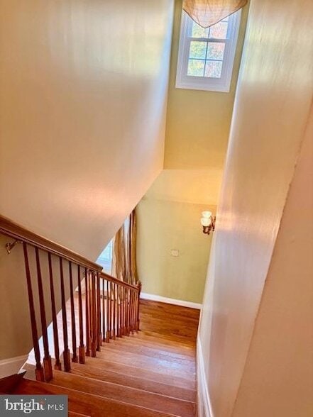 Building Photo - 9008 Doris Dr