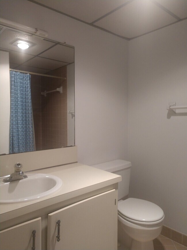 Building Photo - 2 Bedroom/2 Bath Palm Harbor Condo