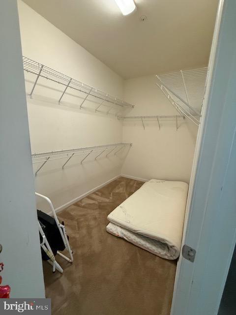 Building Photo - 7106 Battle Fld Lp