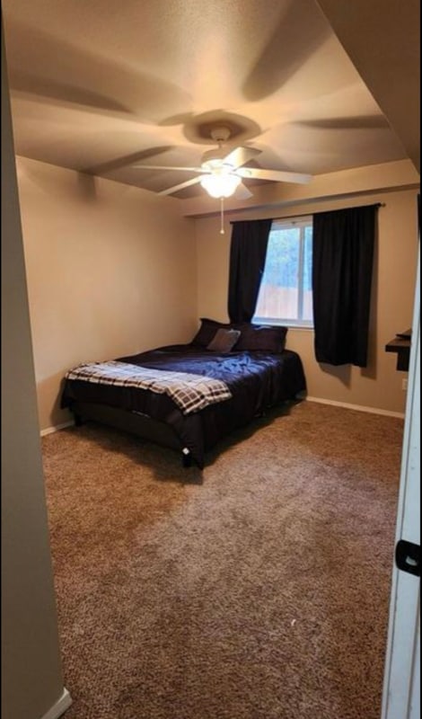 Building Photo - 8917 Eagle Pl Loop